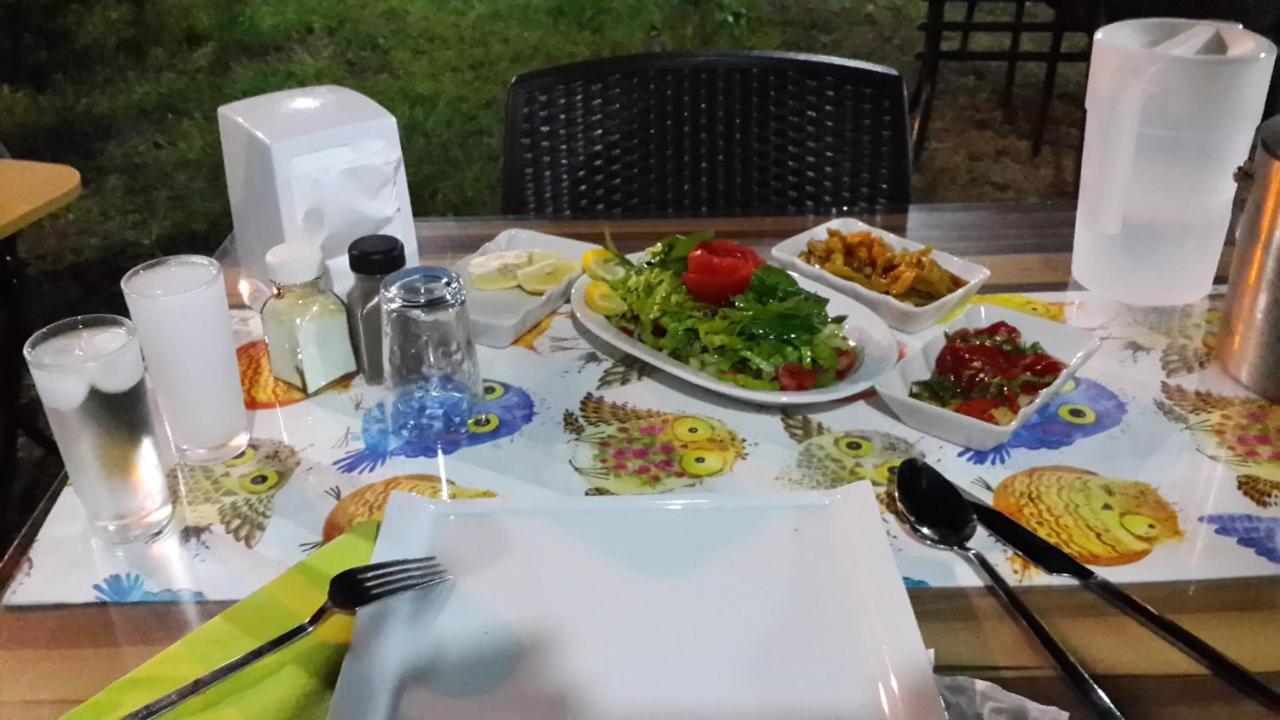 לינה וארוחת בוקר Cirali Kus Yuvasi מראה חיצוני תמונה