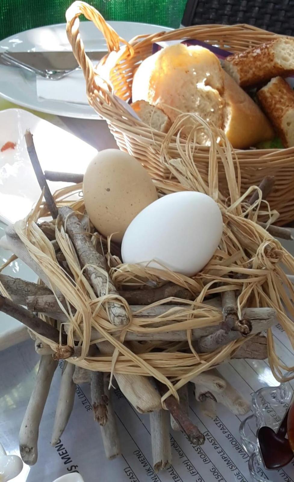 לינה וארוחת בוקר Cirali Kus Yuvasi מראה חיצוני תמונה